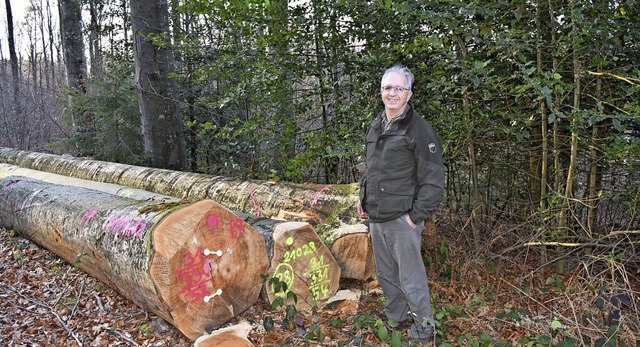 Hermann Rodenkirchen bewirtschaftet seit 1994 den Walddistrikt Groer Grassert.   | Foto: privat