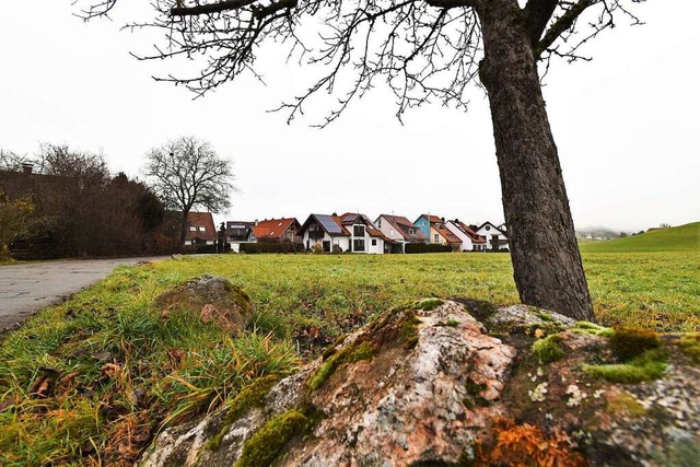 59 Wohneinheiten sollen in dem neuen Baugebiet Nadelhof in Stegen entstehen.  | Foto: Kathrin Blum