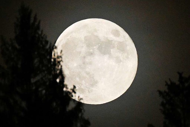 Auf dem Mond gibt es viel zu forschen,...lb sollen wieder Menschen dort landen.  | Foto: Angelika Warmuth (dpa)