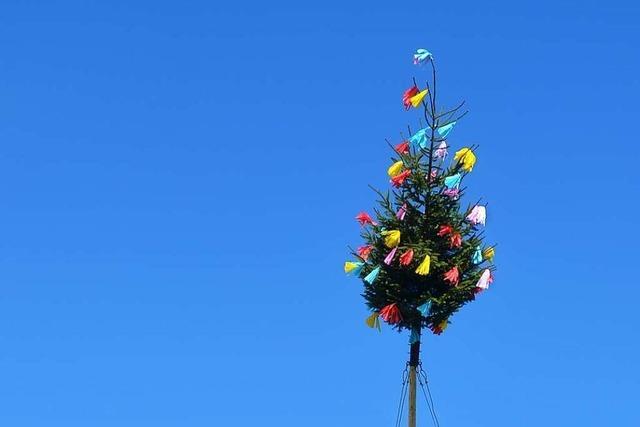 Ein Verein will in Wintersweiler das Aufstellen von Maibäumen möglich machen