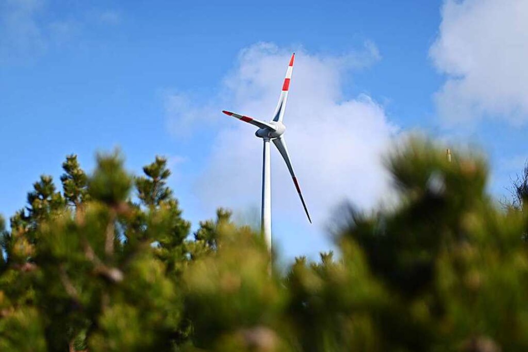 ber den Baumwipfeln am Haldenkpfle n...ollen zwei Windkraftanlagen entstehen.  | Foto: Uli Deck (dpa)
