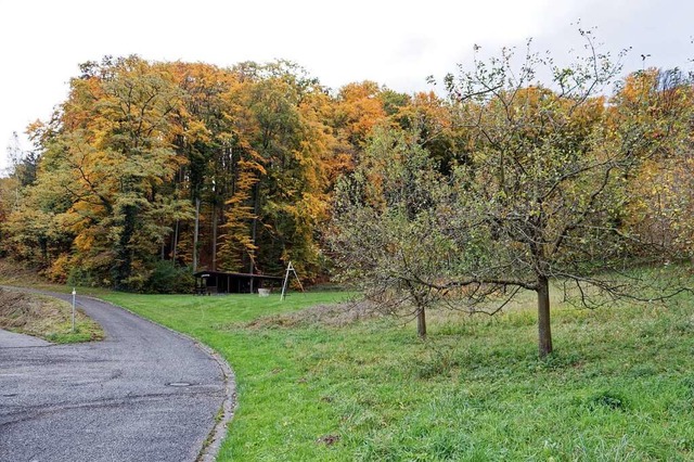 Auf diesem Gelnde bei der Brunndelht... der Mobilfunkmast aufgestellt werden.  | Foto: Ruth Seitz