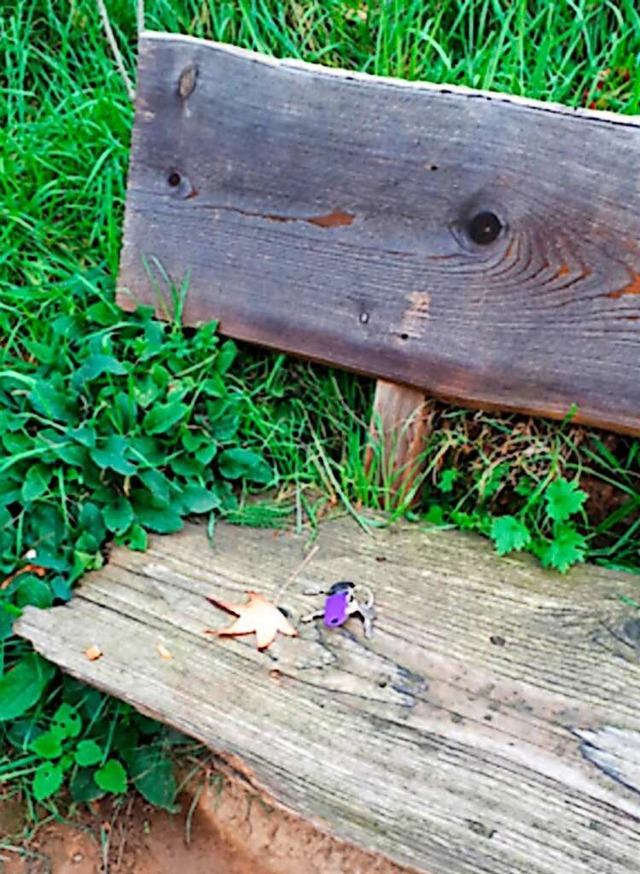 Hurra, der Schlssel ist wieder da.  | Foto: Gabriele Warneke