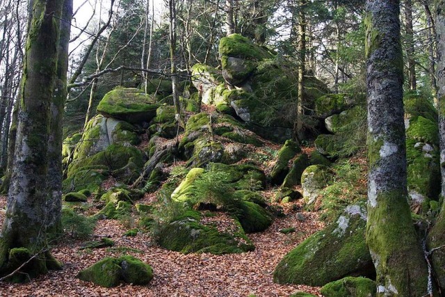 Weit ber dem Yachtal, in der Nhe des... das Haus des &#8222;Watz-Sepp&#8220;.  | Foto: Roland Gutjahr