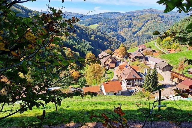 Elbenschwand - wo traditionelle Landwirtschaft auf fernstliche Entspannung trifft