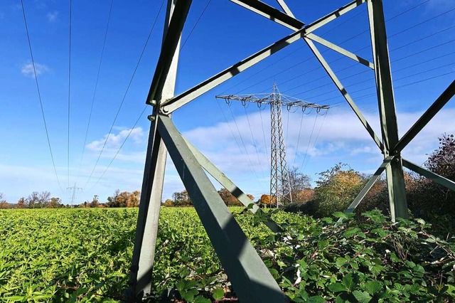 Diese Masten mssen weg.  | Foto: Thomas Kunz