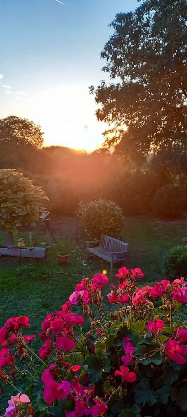 Oktobersonne auf einer Terrasse in Scherzingen bei Ehrenkirchen.  | Foto: Cornelia Hesse-Pilsak