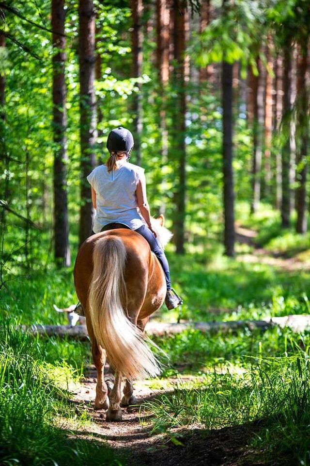 Das Pferd der jungen Frau scheute, worauf sie strzte.  | Foto: citikka (Stock.Adobe.com)