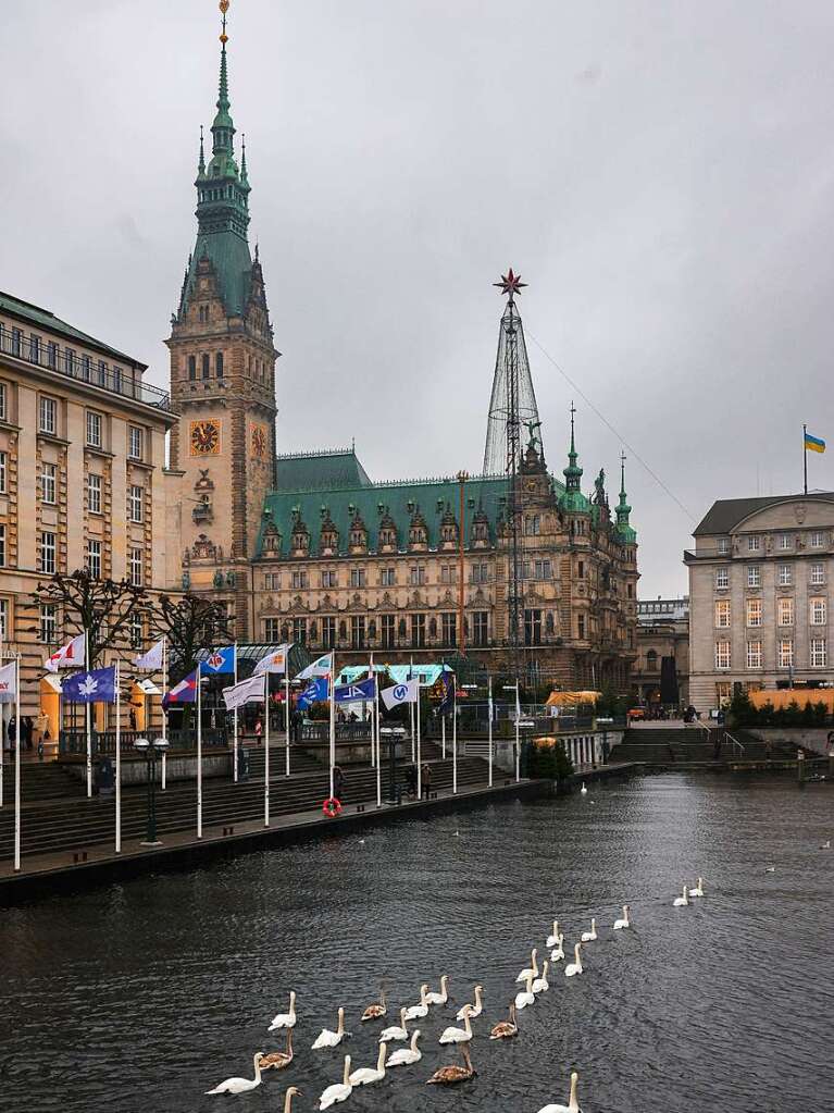 Die Zeit des Schwimmens auf der Alster ist vorbei: Mit den sinkenden Temperaturen geht fr die Schwne wieder zurck in ihr Winterquartier am Eppendorfer Mhlenteich.