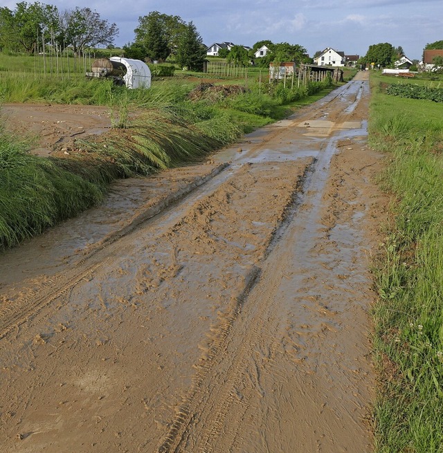 Fr Bauamtsleiter Ulrich Wei ist es w...or sie Richtung Tal und Dorf gelangen.  | Foto: Ulrich Senf