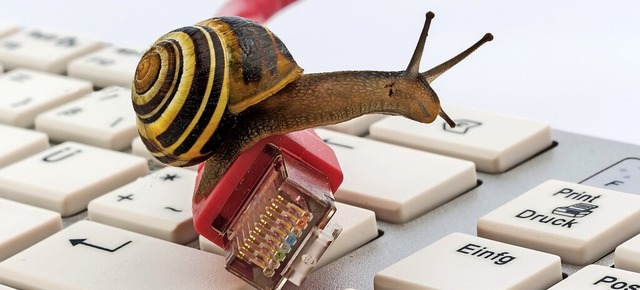 Internet im Schneckentempo &#8211; das...andausbau der Vergangenheit angehren.  | Foto: Gina Sanders  (stock.adobe.com)