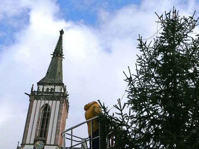 In luftiger Hhe wird die Beleuchtung ...Neustdter Weihnachtsbaum aufgehngt.   | Foto: Florian Schmieder