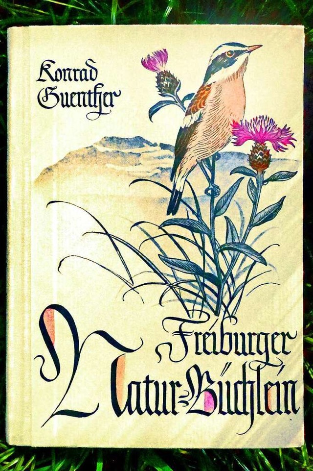 Das Braunkehlchen als Covervogel im Jahr 1935  | Foto: Helge Krner