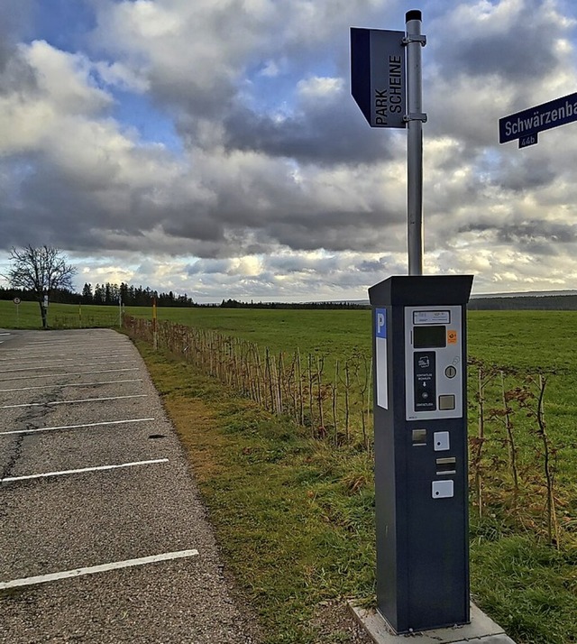 Einer der neuen Parkautomaten  | Foto: Peter Stellmach