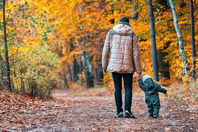 Zeit zu zweit: Ein Vater spaziert mit seinem kleinen Sohn durch den  Herbstwald.  | Foto: mcniesch  (stock.adobe.com)