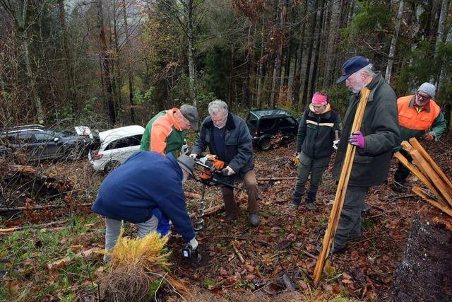 Warum die Grafschaft Hauenstein bei Hchenschwand 500 Bume pflanzt