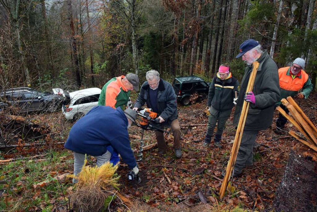 Warum die Grafschaft Hauenstein bei Höchenschwand 500 Bäume pflanzt