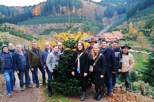 Durbacher Christbaum-Bauern eröffnen die Saison