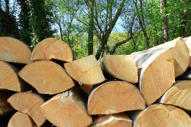 Diebe stehlen bei Grenzach-Wyhlen Brennholz im Wert von 900 Euro