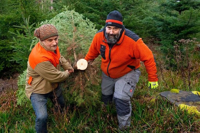 Ein Christbaum fr den Holzschlger Do... Jgler und Jrgen Faller aus dem Wald  | Foto: Wolfgang Scheu