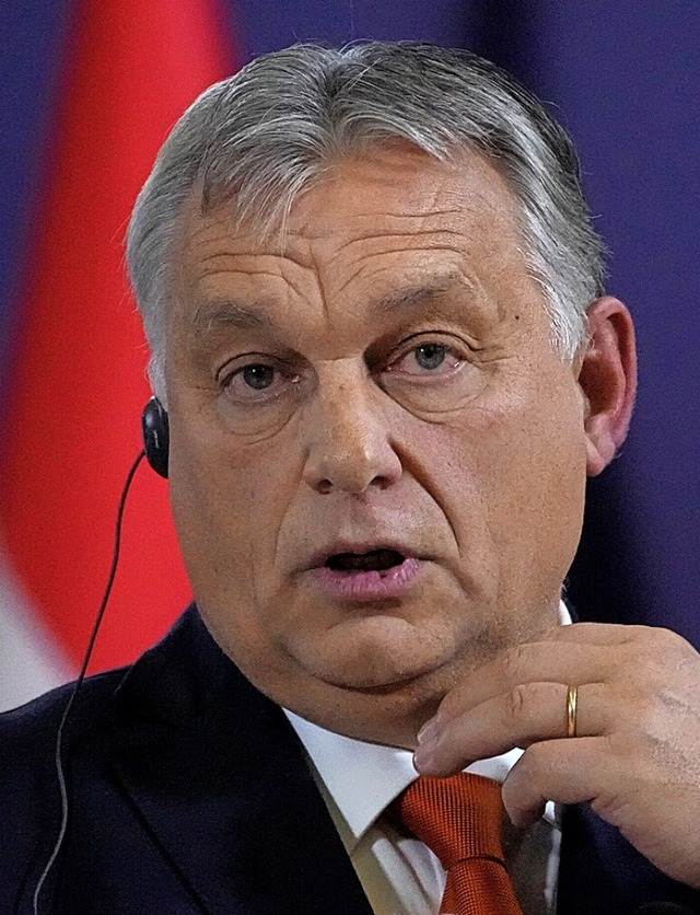 Viktor Orban  | Foto: Darko Vojinovic (dpa)