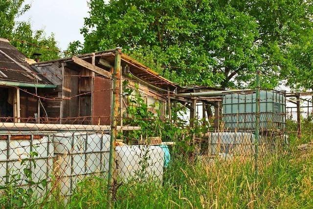 Stadtverwaltung Offenburg geht gegen illegale Hütten und Zäune in der Vorbergzone vor