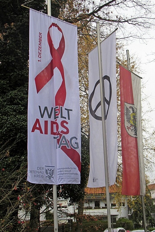 Fahne vor dem Landratsamt  | Foto: Susanne Kerkovius