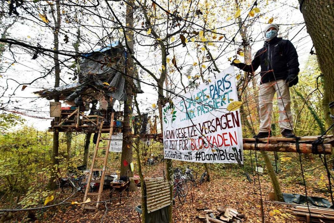 Die Baumbesetzer fordern den Erhalt des kompletten Langmattenwäldchens.  | Foto: Thomas Kunz