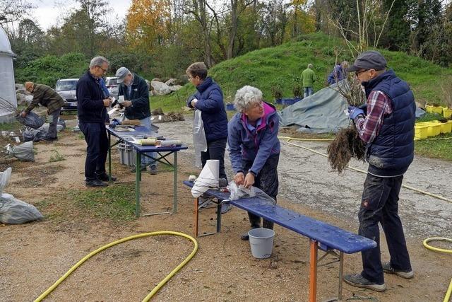 Grten naturnaher gestalten