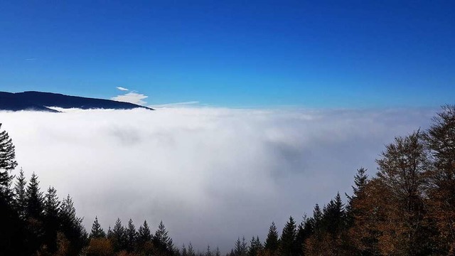 ber den Wolken auf dem Hrnleberg.  | Foto: Paul-Jrgen Kanstinger