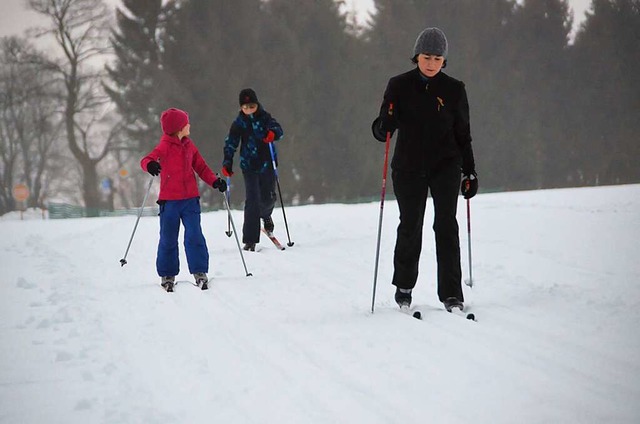 30 Euro soll der Loipenpass kosten.  | Foto: Christiane Seifried