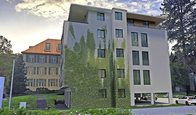 Grne Fassade statt hsslichem grauem ...-Strae in Wehr einmal aussehen soll.   | Foto: Rinkenburger