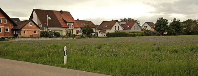 Im Merdinger Gemeindehaushalt soll Gel...asenweiler Strae eingestellt werden.   | Foto: Mario Schneberg