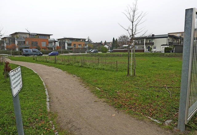 Auf diesem Gelnde zwischen Wettelbrun...ein Waldorfkindergarten gebaut werden.  | Foto: Hans-Peter Mller