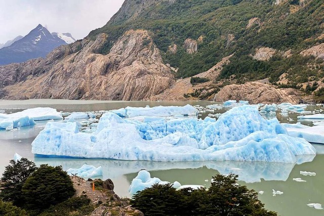 Im See vor dem  Grey-Gletscher treiben groe Eisschollen.  | Foto: Manuel Meyer (dpa)