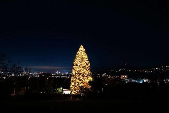 Weihnachtsbaum in Merzhausen ist größer als der am Rockefeller Center