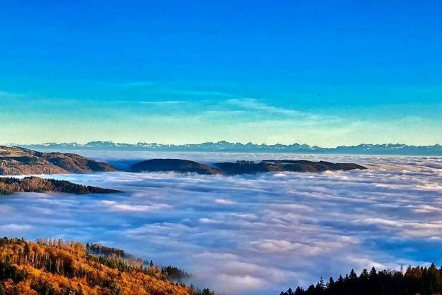 Die Alpen im Nebelmeer