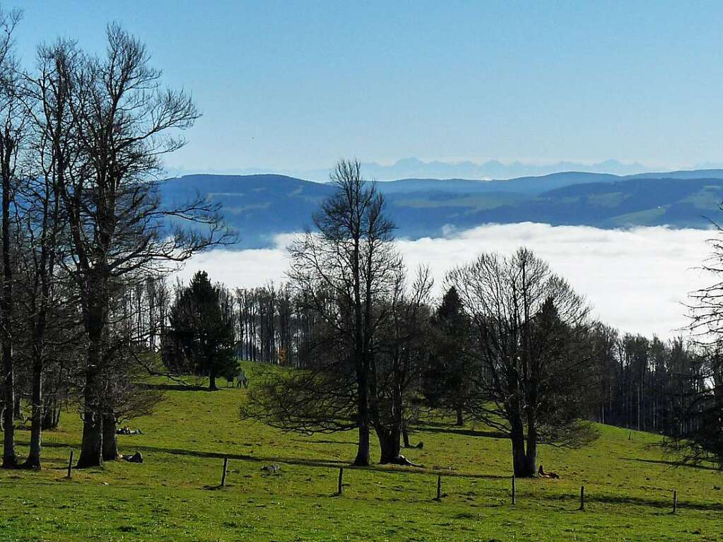 Leuchtende Farben zwischen dem Nebelmeer