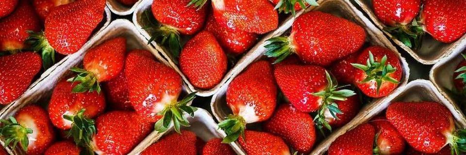 Alles Wissenswerte ber Erdbeeren