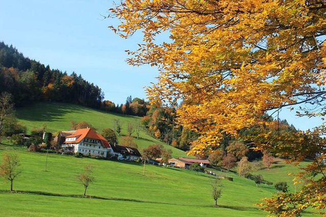 Das Kohlenbachtal, einem Seitental des...sse fr ein Flurbereinigungsprogramm.  | Foto: Bernd Fackler