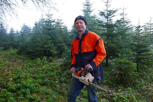 Bernhard Amann zieht auf seiner Planta...tannen fr den Christbaumverkauf auf.   | Foto: Susanne Filz