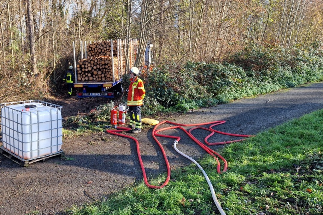 Der Holztransporter kam von der Straße ab und landete im Unterholz.  | Foto: Feuerwehr Gundelfingen