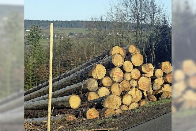 Wald soll mehr als 90.000 Euro bringen
