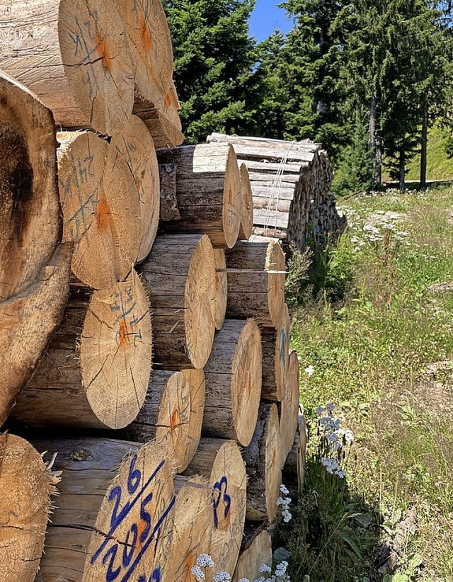 2023 soll in Mnstertal mehr Holz geschlagen werden.   | Foto: Frank Schoch