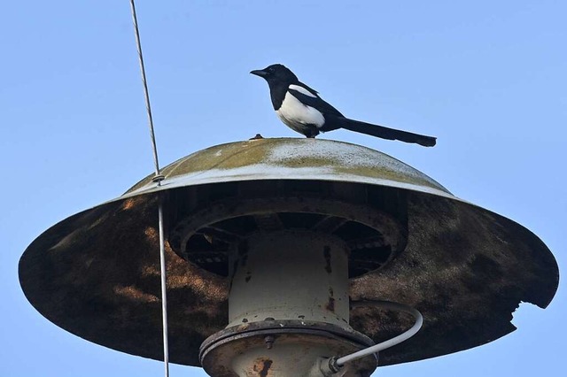 Alte Sirenen sollen ersetzt werden. Do...ker fehlen und es Lieferengpsse gibt.  | Foto: Patrick Pleul