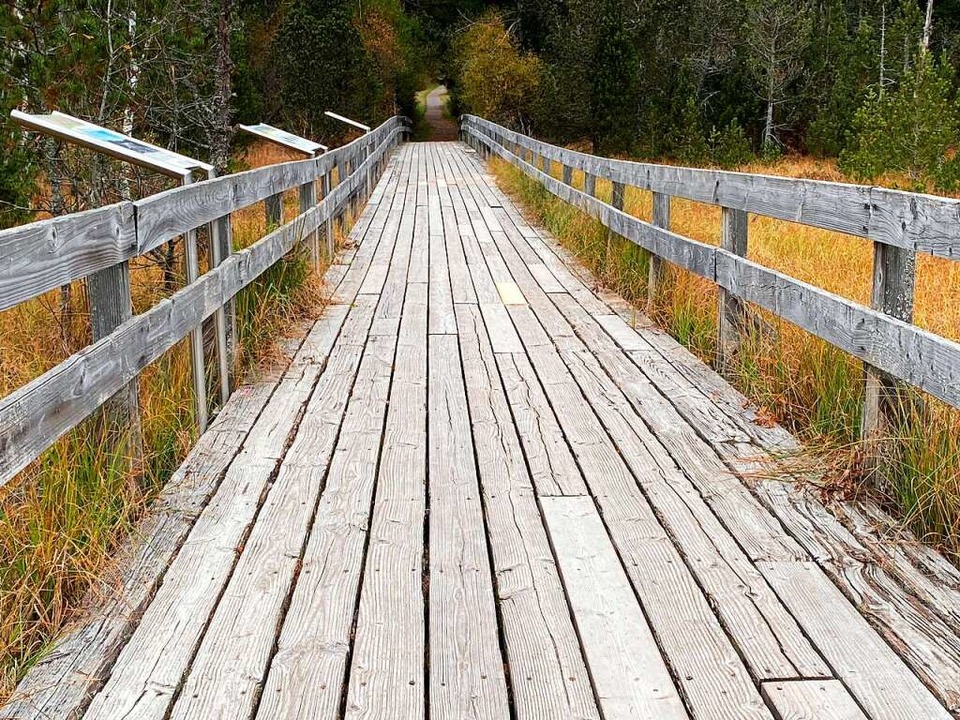 Auf dem Weg ins Hinterzartener Hochmoo... groen Holzskulpturen begrt werden.  | Foto: Tanja Bury