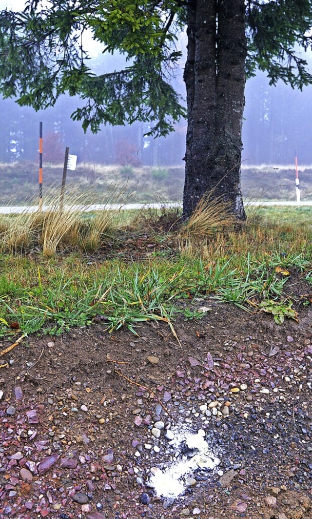 Bauschuttreste liegen noch immer auf dem Schauinsland.  | Foto: Philipp Schulte