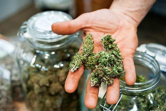 Wie andere Staaten die Legalisierung von Cannabis umgesetzt haben