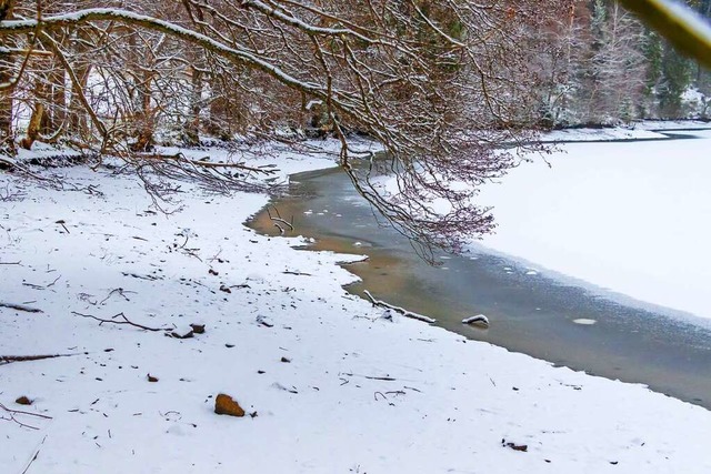 Durch das Absenken des Wassers  kann der gesamte Uferbereich ausfrieren.  | Foto: Wilfried Dieckmann