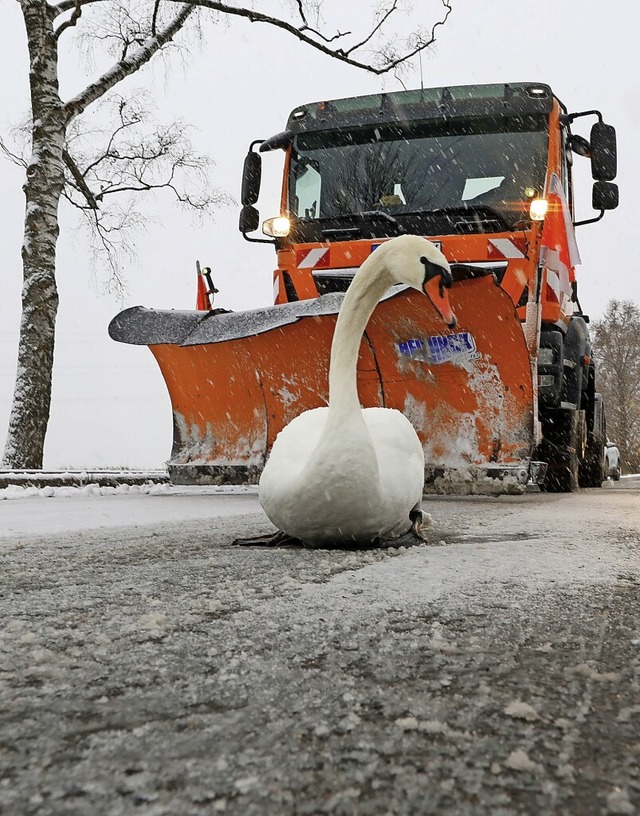   | Foto: Thomas Warnack (dpa)